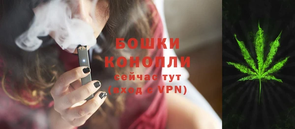 ГАЛЛЮЦИНОГЕННЫЕ ГРИБЫ Баксан