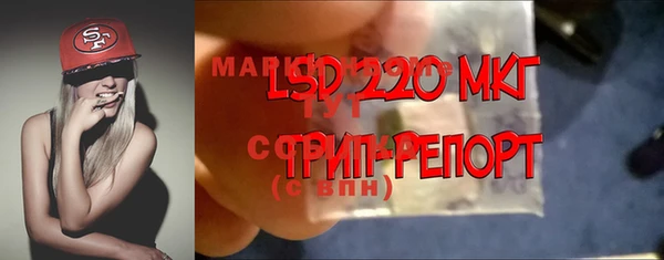 ГАЛЛЮЦИНОГЕННЫЕ ГРИБЫ Баксан