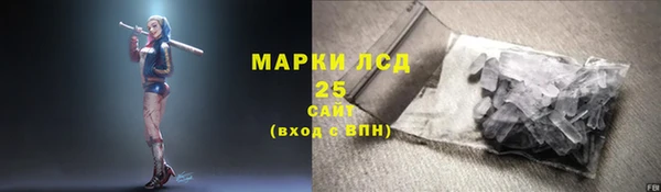 ГАЛЛЮЦИНОГЕННЫЕ ГРИБЫ Баксан